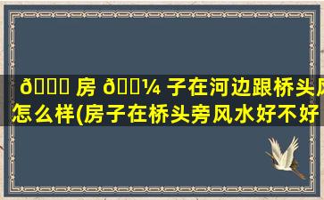 🐞 房 🌼 子在河边跟桥头风水怎么样(房子在桥头旁风水好不好)